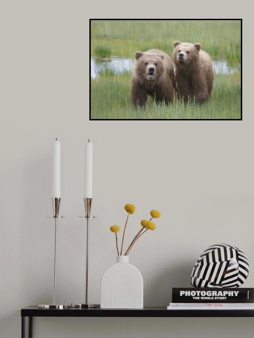 Curousity Poster och Canvastavla