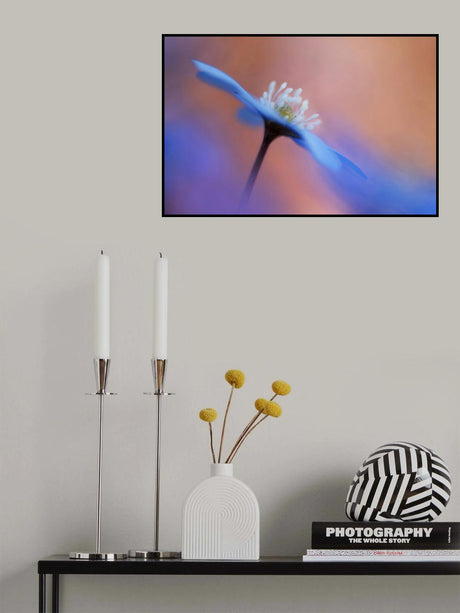 En blommas ljuvlighet. Poster och Canvastavla