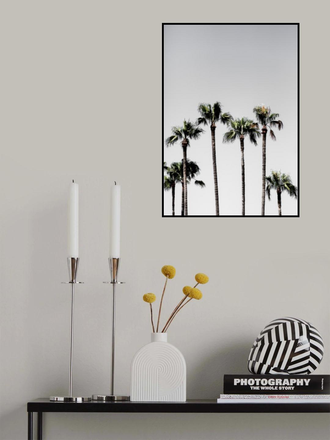 Palm Trees 5 Poster och Canvastavla