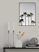 Palm Trees 5 Poster och Canvastavla