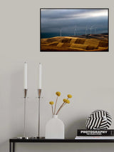 Rolling wheat Fields Poster och Canvastavla
