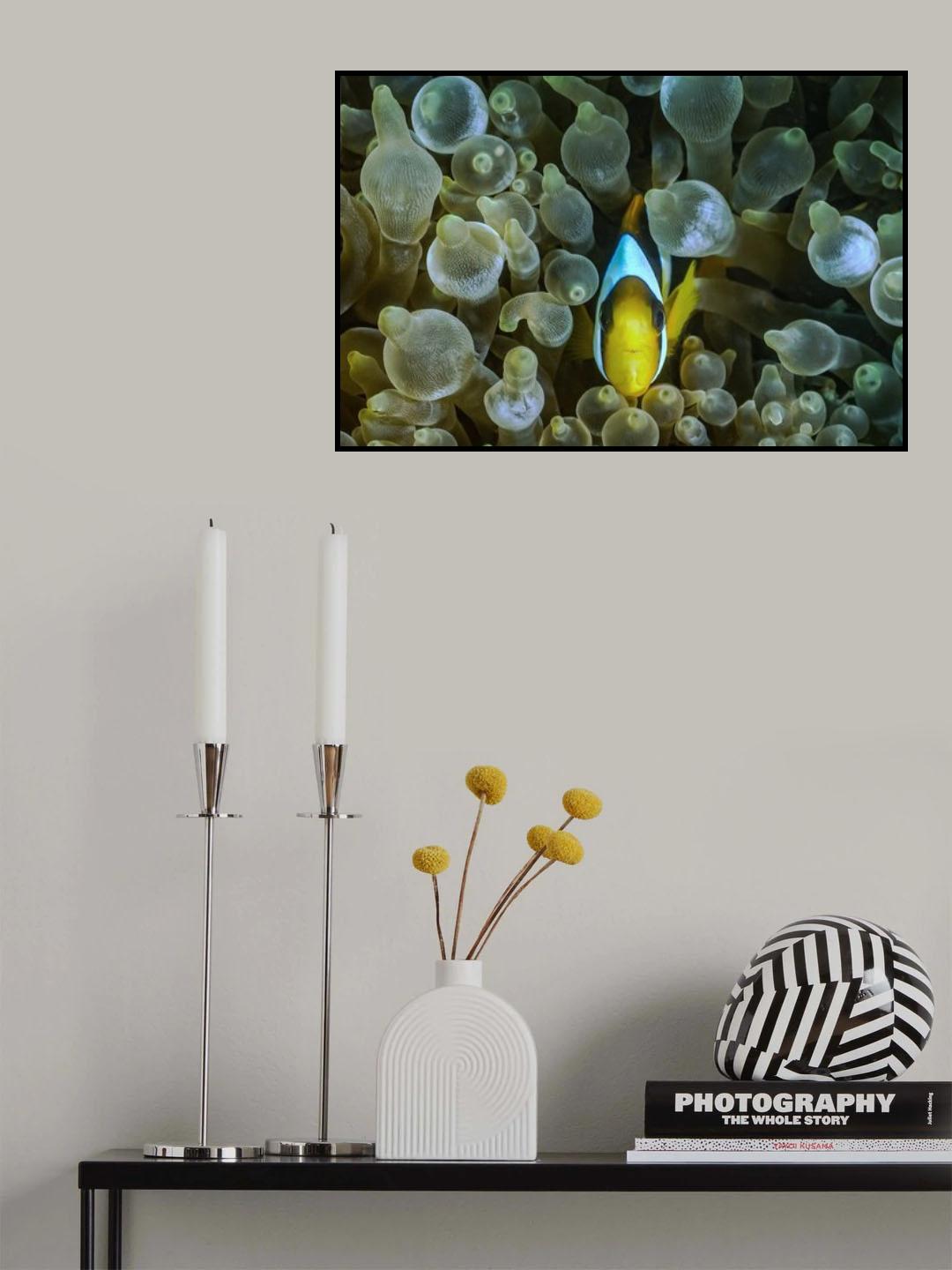 Symbiotic Poster och Canvastavla