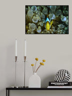 Symbiotic Poster och Canvastavla