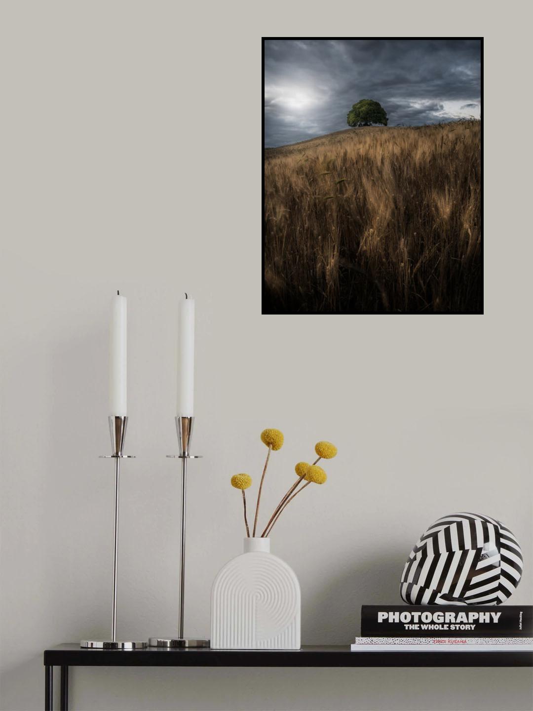 Centenary Poster och Canvastavla