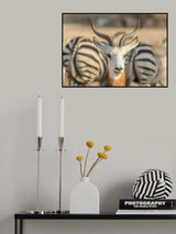 Portrait with Zebra background Poster och Canvastavla