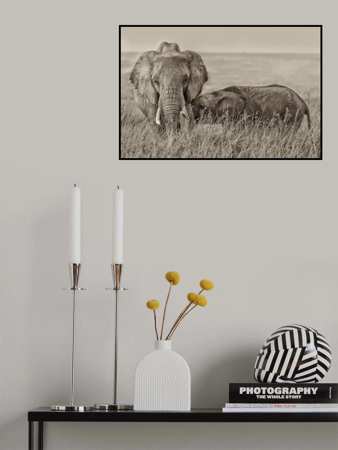 Snuggling Poster och Canvastavla