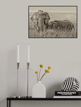 Snuggling Poster och Canvastavla