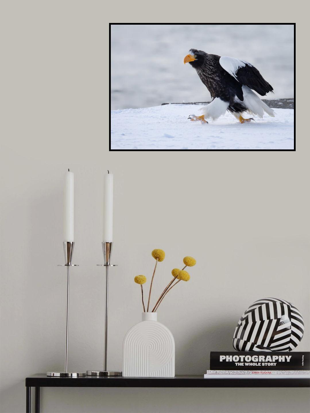 Morning stroll Poster och Canvastavla