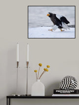 Morning stroll Poster och Canvastavla