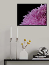 beautiful pink flower Poster och Canvastavla