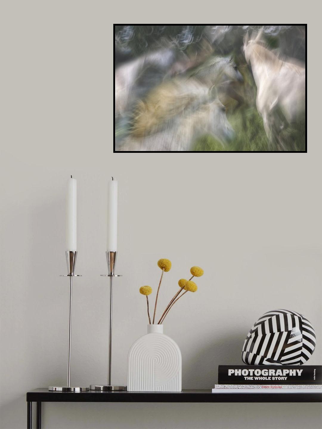 In akcion Poster och Canvastavla