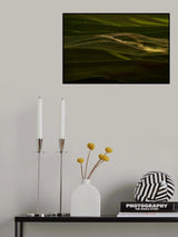 Early Spring Wheat Field Poster och Canvastavla