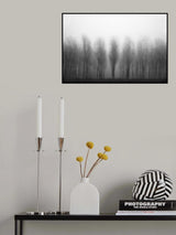 poplars Poster och Canvastavla