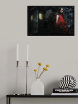 Damn old house Poster och Canvastavla