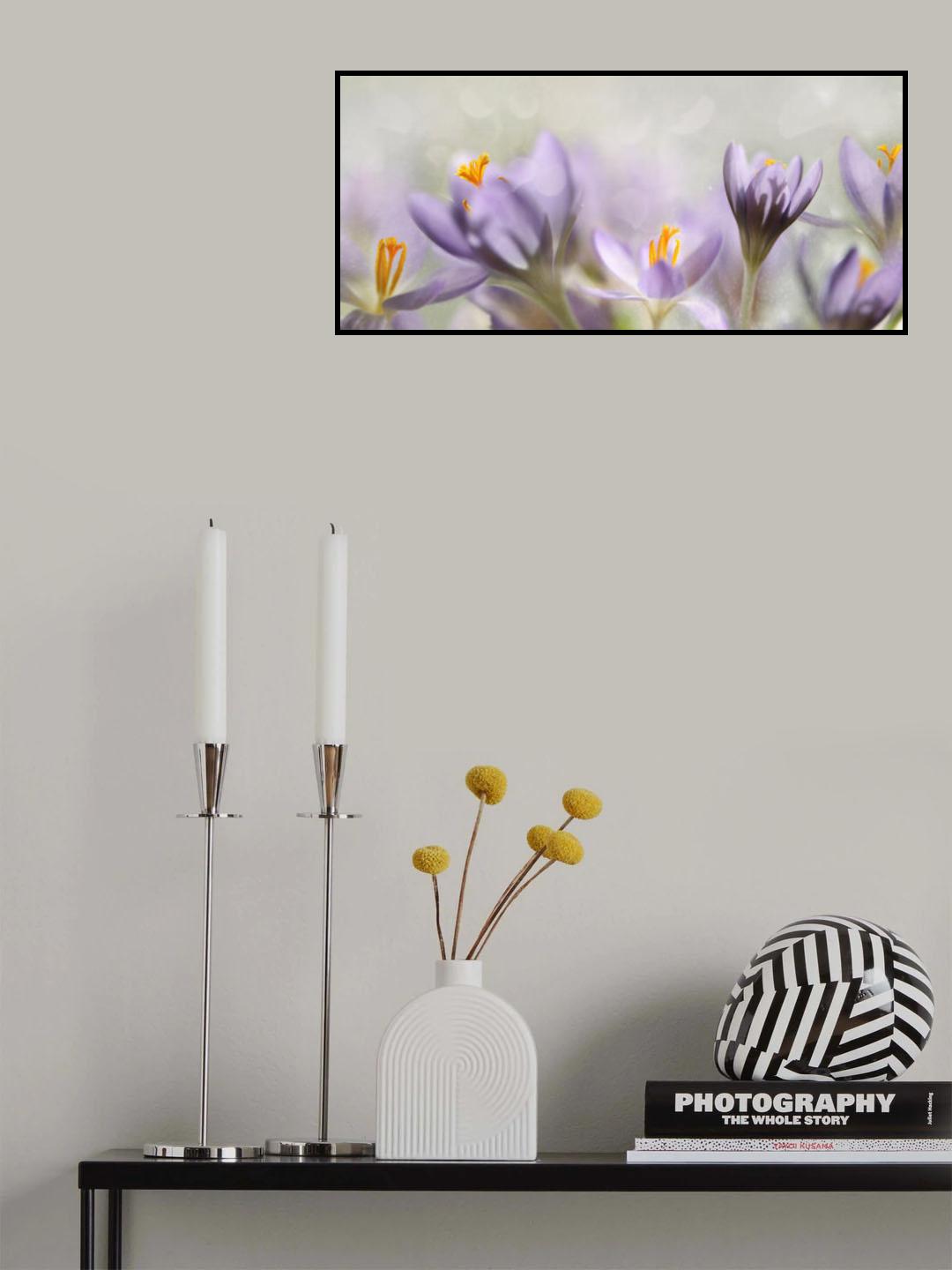 Spring flowers Poster och Canvastavla
