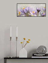 Spring flowers Poster och Canvastavla