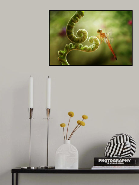 Ferns and Dragonflies Poster och Canvastavla