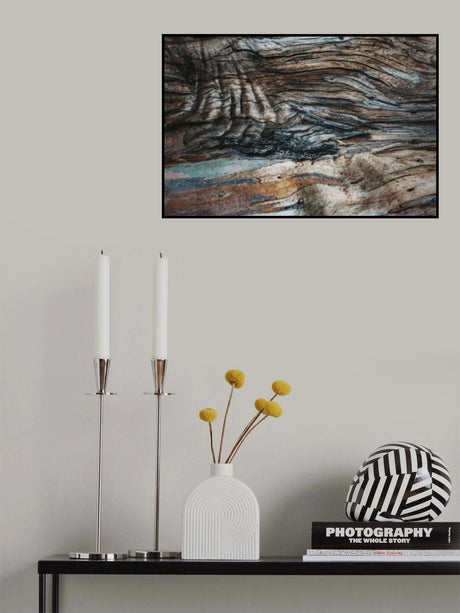Eucalyptus Texture Poster och Canvastavla
