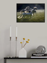 image figure Poster och Canvastavla