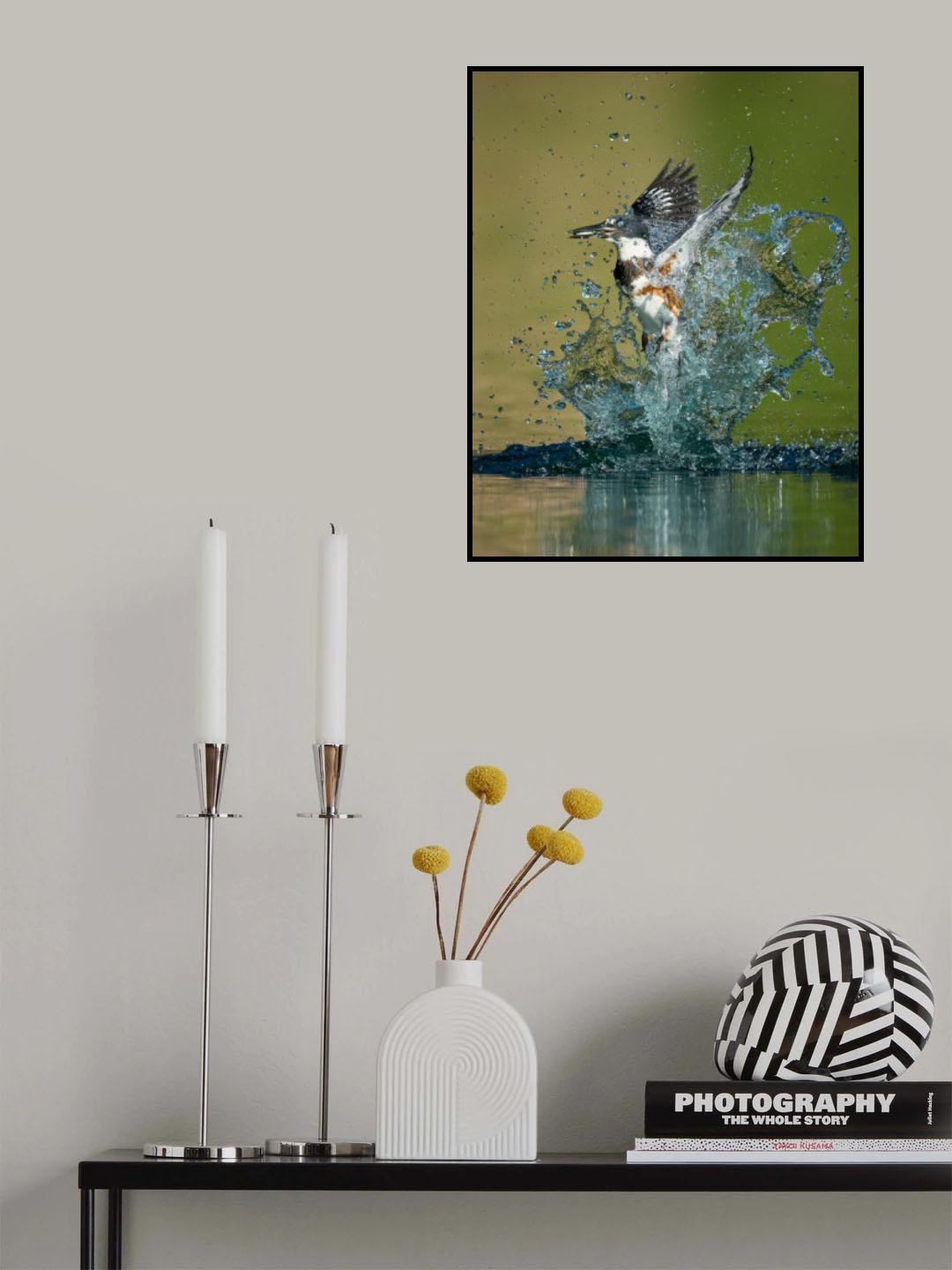 Wonderful Splash Poster och Canvastavla