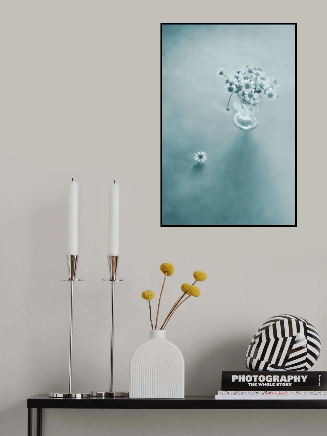 Blue daisies Poster och Canvastavla
