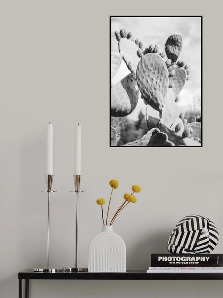 Cacti Cowboy No1 Poster och Canvastavla