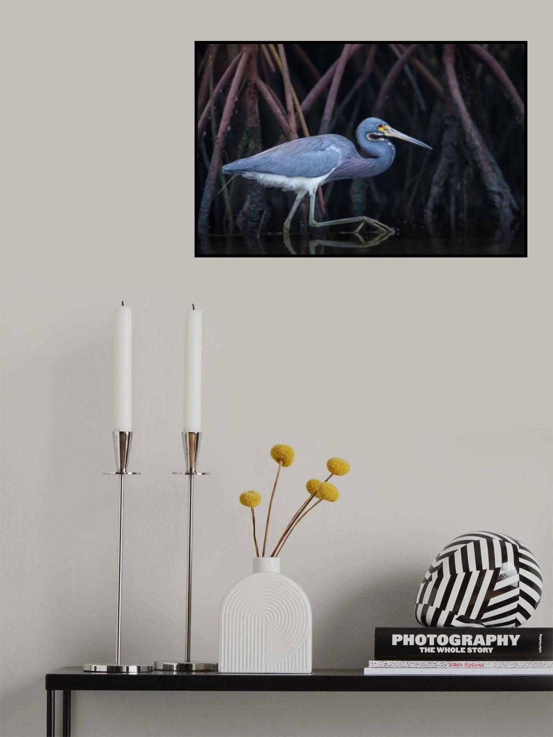 Stalking in the Mangroves Poster och Canvastavla