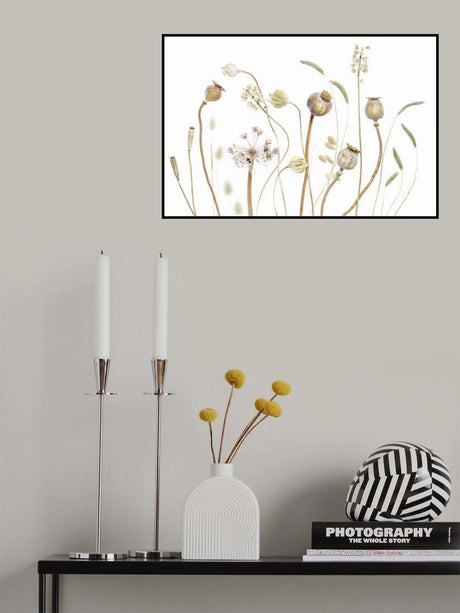 Pods Poster och Canvastavla