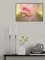 Summer Dreaming Poster och Canvastavla