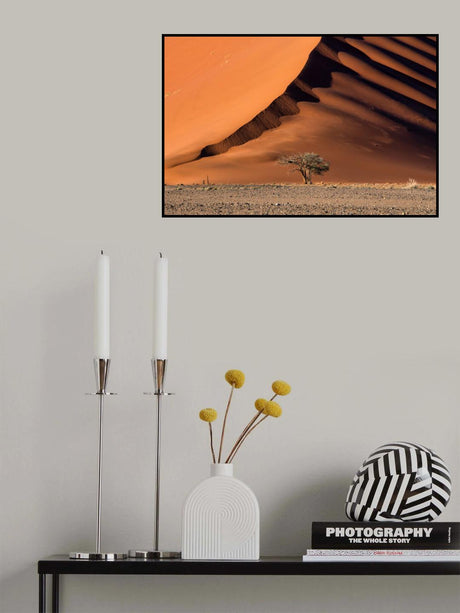 The dune and the tree Poster och Canvastavla