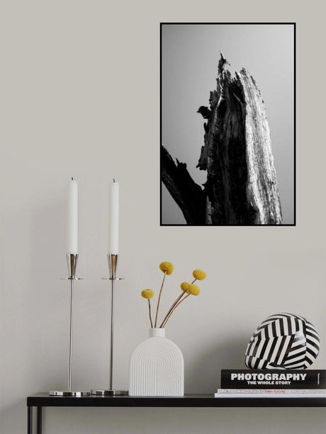Wetlands 1 Poster och Canvastavla