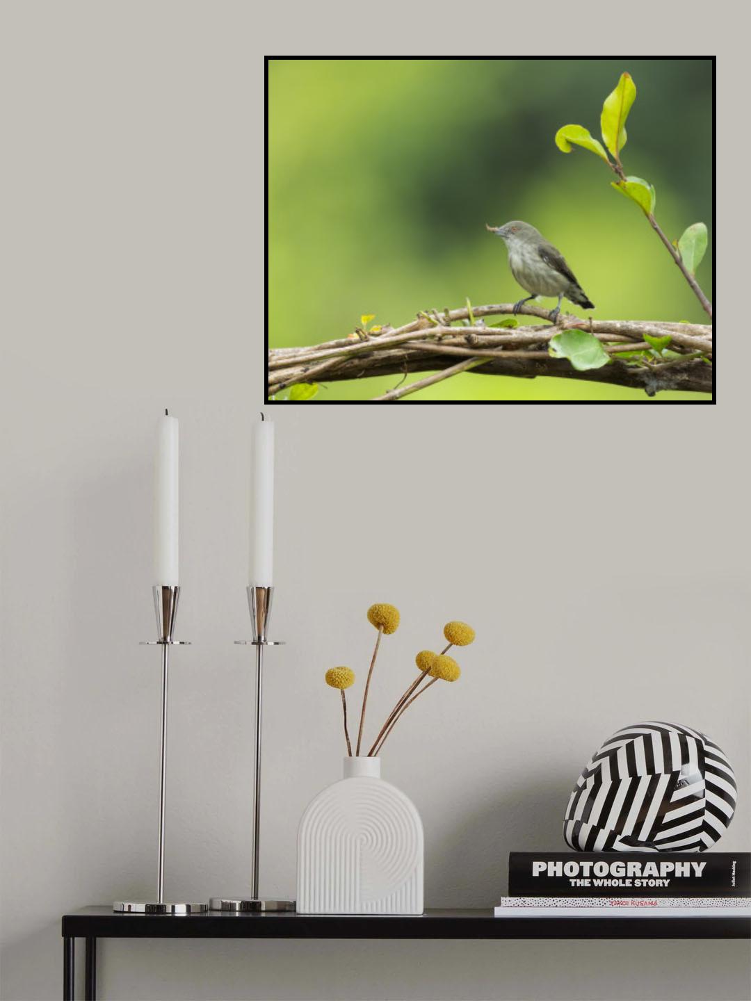 Flower Pecked Poster och Canvastavla