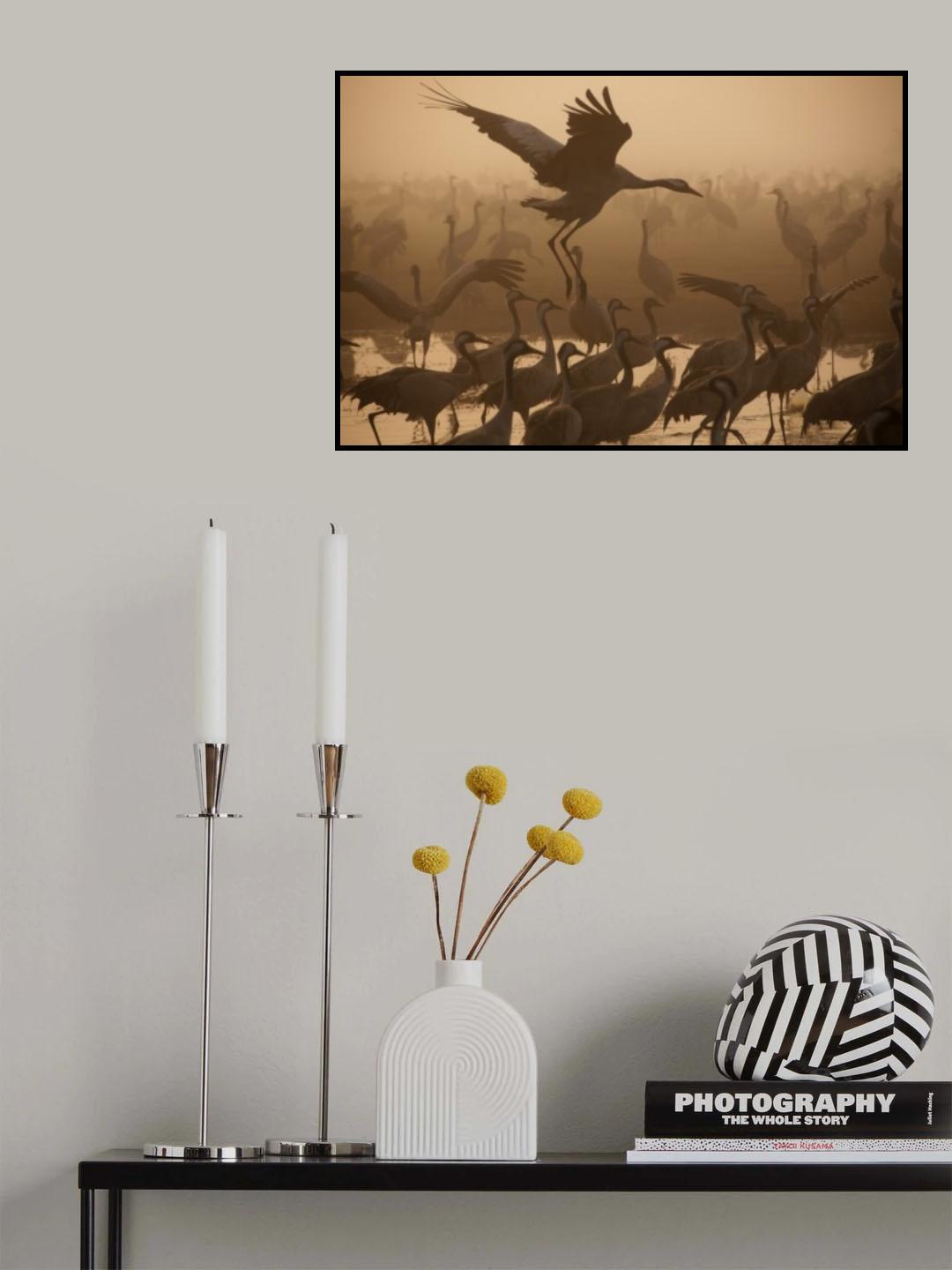 Looking for a place... Poster och Canvastavla