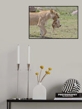 Easy Walk Poster och Canvastavla