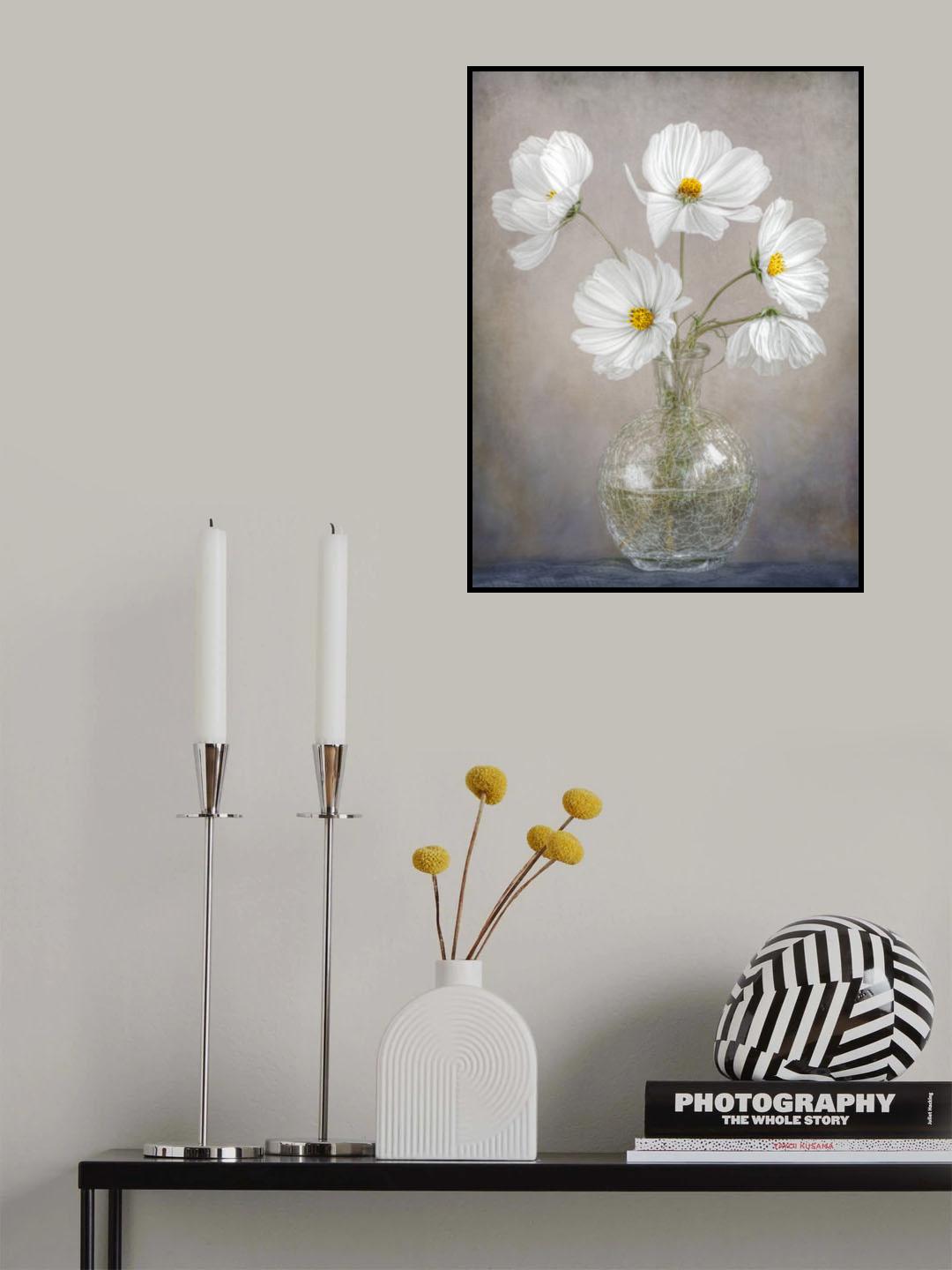 Simply Cosmos Poster och Canvastavla