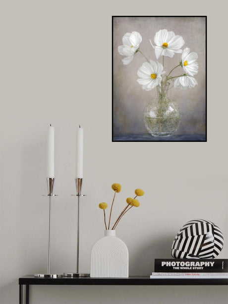 Simply Cosmos Poster och Canvastavla