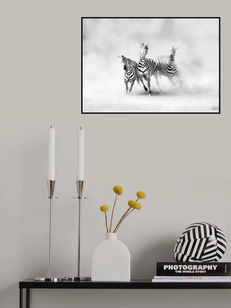 ZEBRAS Poster och Canvastavla