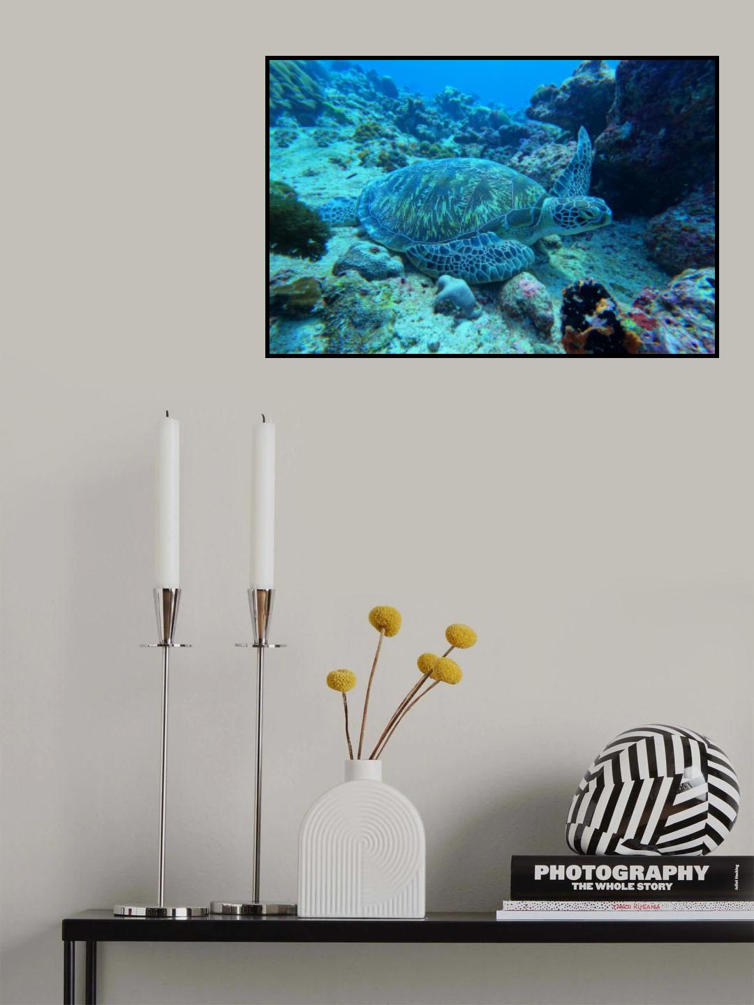 Deep sea turtle Poster och Canvastavla
