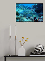Deep sea turtle Poster och Canvastavla