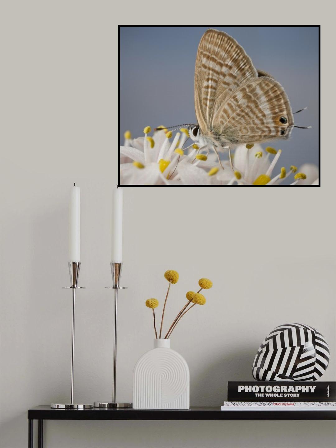 Peablue Poster och Canvastavla