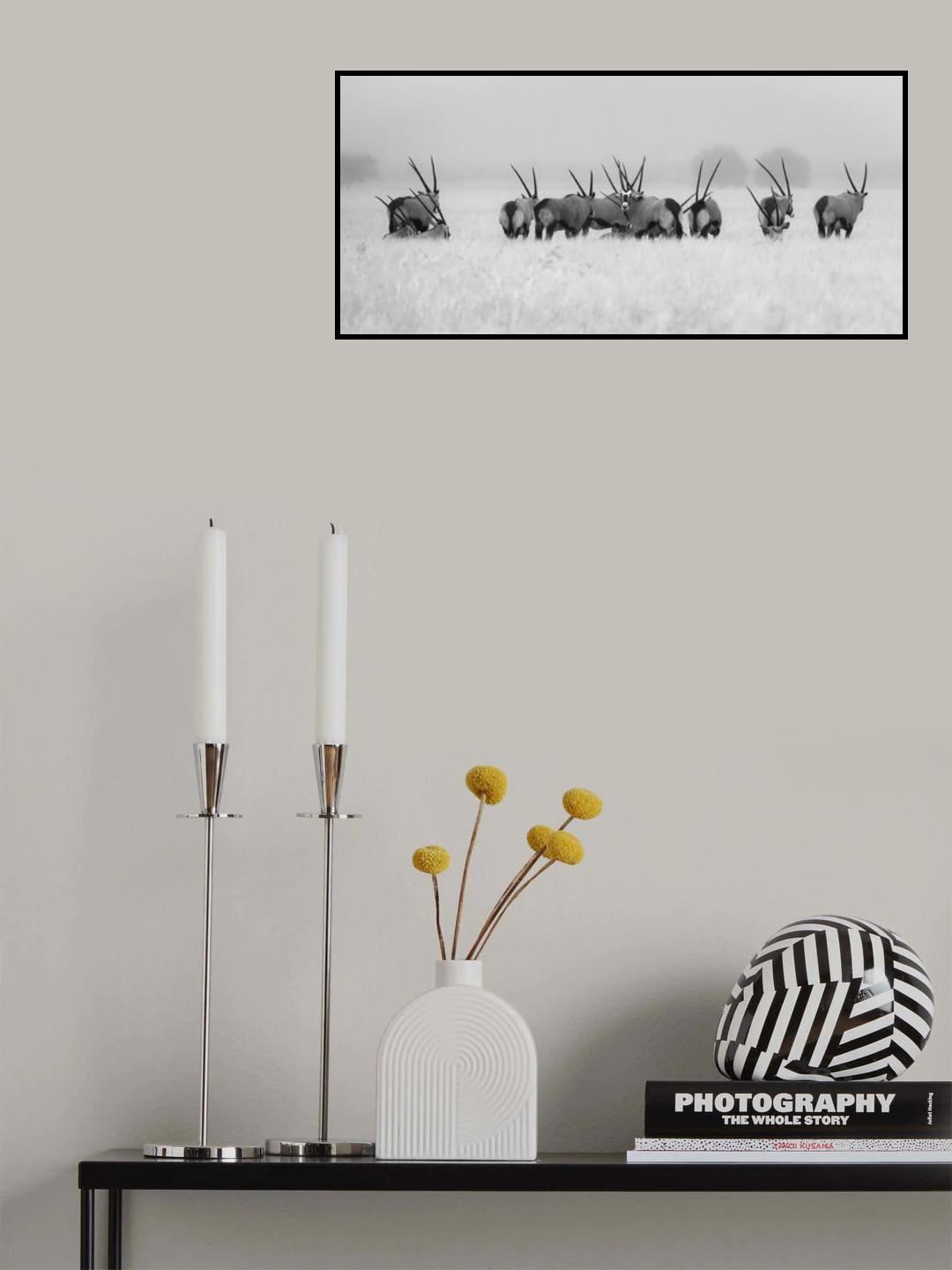 Oryx in the rain Poster och Canvastavla