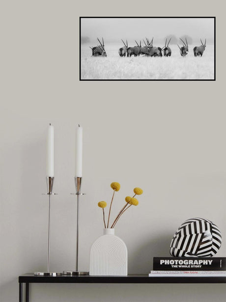 Oryx in the rain Poster och Canvastavla