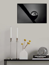 the dew. Poster och Canvastavla