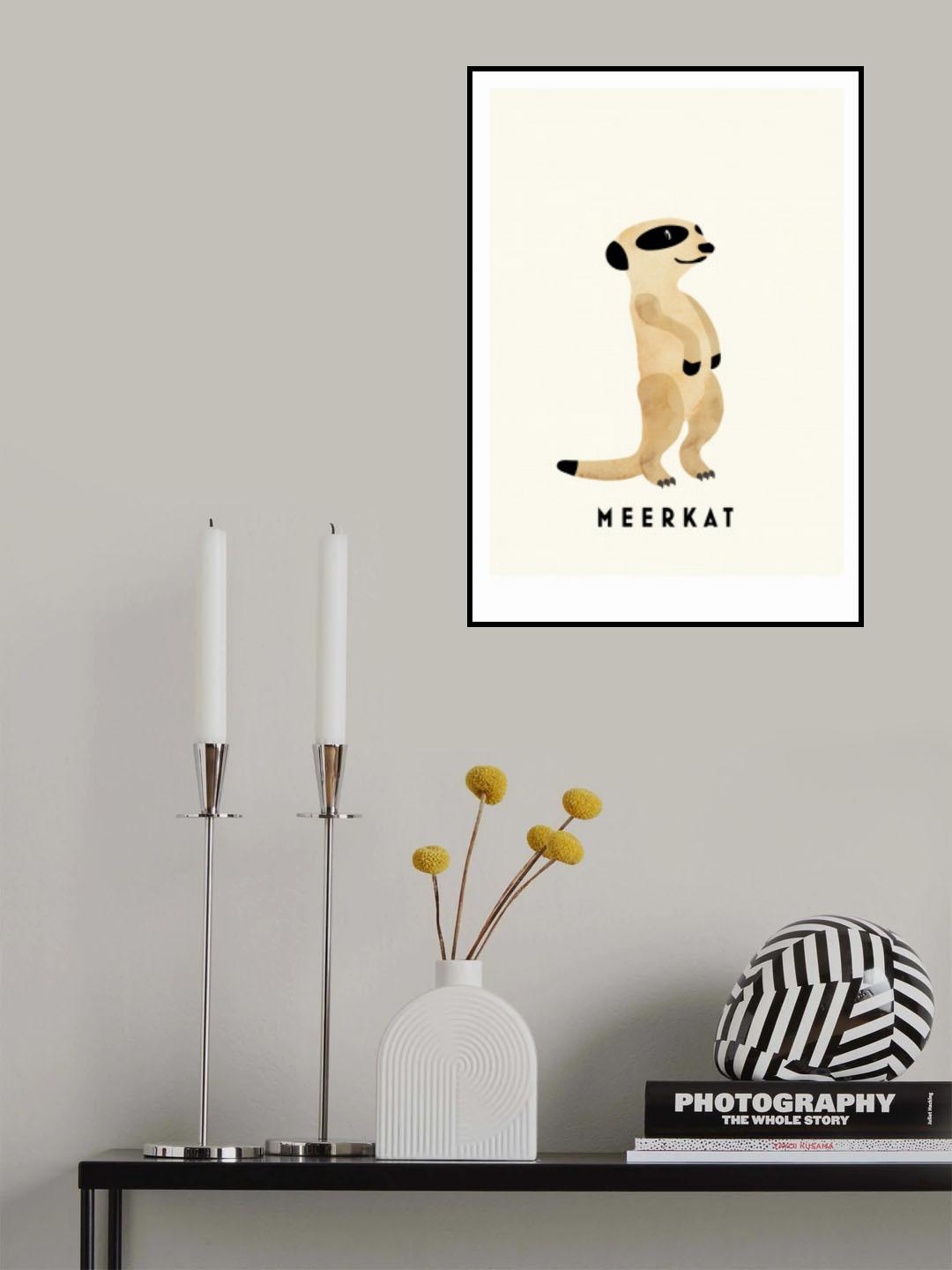 Meerkat Poster och Canvastavla