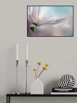 Where dreams come true Poster och Canvastavla