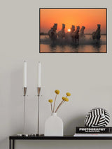 Sunset in Camargue Poster och Canvastavla
