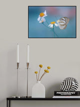 Butterfly Poster och Canvastavla
