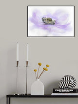 Whisper Poster och Canvastavla