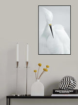 White beauty Poster och Canvastavla