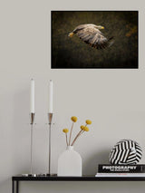 Gandalf eagle Poster och Canvastavla